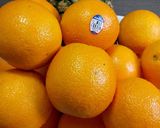Foto langkah ke 6 dari resep juice sunkis dan nanas.
