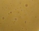 A picture of step 1 of Mango shake.