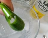Foto del paso 2 de la receta: Vodka tonic 🍹