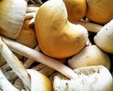 Foto langkah ke 1 dari resep Tumis Jamur Kancil (kulat pelandok).