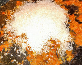 Foto del paso 10 de la receta: Arroz con verduras de temporada