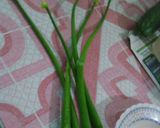 Foto langkah ke 1 dari resep Ca bunga bawang (sederhana).