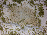 Pizzetas