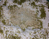 Foto del paso 1 de la receta: Pizzetas