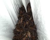 Foto del paso 1 de la receta: Hormigas culonas