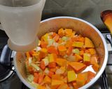 Foto del paso 3 de la receta: Sopa crema de calabaza  - sana, fácil, rápida y económica