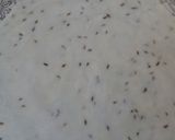 A picture of step 4 of Namak Paray.