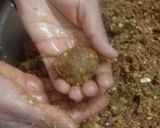 मखाना ड्राई फ्रूट्स लड्डू (Makhana dry fruits laddu recipe in Hindi) रेसिपी चरण 3 फोटो
