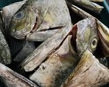 Hình bước làm 2 của món Lẩu cá dìa mùng tơi