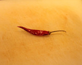 Foto del paso 12 de la receta: Ravioles raros (ovalados) 4 quesos ratatuilados
