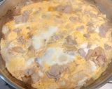 Foto langkah ke 9 dari resep Oyakodon - Nasi Ayam Telur Jepang Simple.