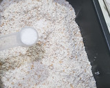 Foto del paso 4 de la receta: Pan integral con panificadora Lidl