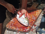 Saboga frito con ensalada mixta. #calendario2025