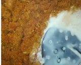 गाजर का हलवा (Gajar ka Halwa recipe in Hindi) रेसिपी चरण 4 फोटो