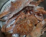 Foto langkah ke 1 dari resep Rajungan Saus Padang.