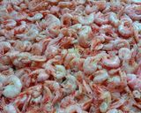 Foto langkah ke 3 dari resep 66. Ebi.