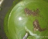 પાલકનો સૂપ (Spinach Soup Recipe In Gujarati) રેસીપી સ્ટેપ4ફોટો