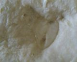 Foto del paso 3 de la receta: 🥯 Berlinesas 🥯