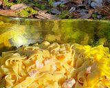~Lazacos, kaviáros tészta~ recept fázis 5 fotója