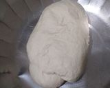 A picture of step 1 of Veg rolls.