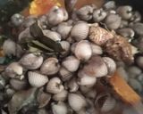 Foto langkah ke 4 dari resep Kerang dara saus padang (menu bancakan seafood).