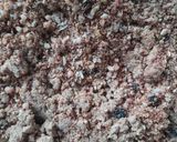 A picture of step 9 of Healthy ladoo.