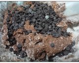 A picture of step 5 of Chocolate Chip Cocoa Cookies.