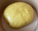 Foto del passaggio 9 della ricetta Panettone al Pistacchio