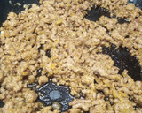 Foto del paso 7 de la receta: Pastel de banana y carne picada
