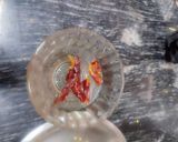 A picture of step 1 of Dry Matar Mushroom.