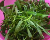 Foto langkah ke 1 dari resep Tumis kangkung.