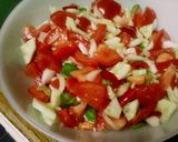 Foto del paso 1 de la receta: Gazpacho familiar Casavejano