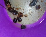 A picture of step 11 of #Kunucontest SPECIAL KUNUN TSAMIYAH.