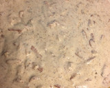 Foto del paso 4 de la receta: Tallarines a la currynara (carbonara con curry)