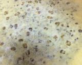 A picture of step 6 of Puran poli/green moong dal.