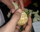 નેચરલ ઓરેંજ જ્યુસ (Orange Juice Recipe in Gujarati) રેસીપી સ્ટેપ1ફોટો