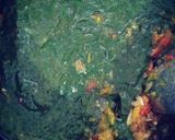 A picture of step 7 of Palak paneer.