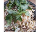 Foto langkah ke 3 dari resep Karedok ala aku.