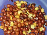 Balado Teri Tempe