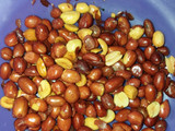 Balado Teri Tempe