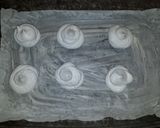 Foto del paso 6 de la receta: Merenguitos