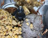 Vega burger (Gluténmentes, vegán) recept fázis 4 fotója