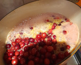 A picture of step 5 of Belgian pear and cranberry compote.