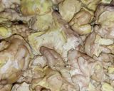A picture of step 3 of Maghaz Masala or Brain Masala.