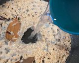 A picture of step 3 of Gobindobhog rice.