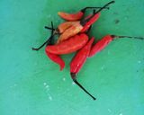 Foto langkah ke 2 dari resep Asem-asem daging sapi.