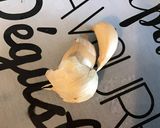 Une image de l'étape 3 de Shanghai choy à la Chinoise, coriandre et citron confit.