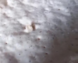 Foto del paso 2 de la receta: Pan Molde Casero 🍞