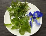 蝶豆花香草梅子露的食譜步驟1照片