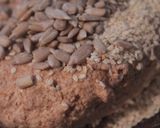 Foto del paso 3 de la receta: Galletas de harina integral y semillas